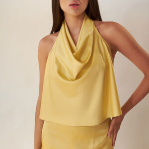 TOP ATLAS LEMON